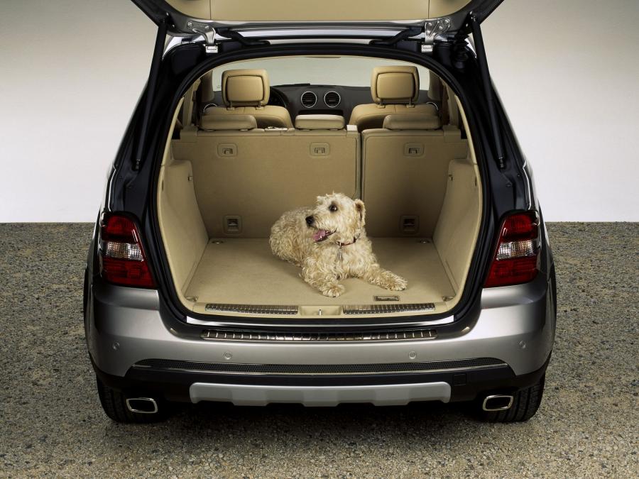  Mercedes-Benz ML-Class 2006 года  (фото 371 из 400)